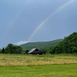 Meet your Posher, Shirley